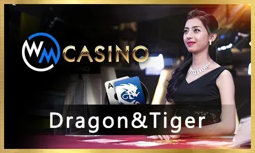 Casino Slots